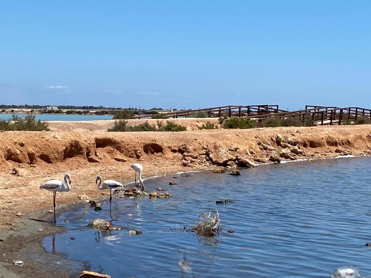 Villamar 19 - Planta Baja Con 2 Terrazas Cerca De Las Salinas Сан-Педро-дель-Пинатар Экстерьер фото